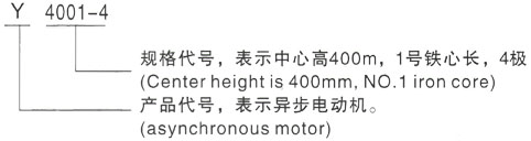 西安泰富西玛Y系列(H355-1000)高压清溪镇三相异步电机型号说明